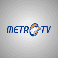 Channel Metro TV