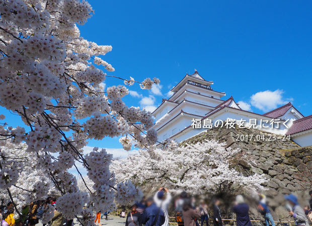 福島の桜：鶴ヶ城の桜