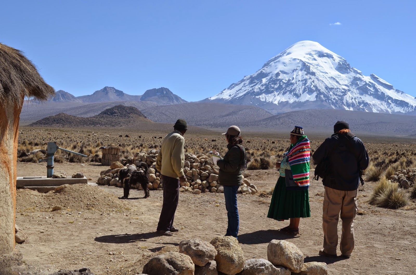 BOLIVIA... LO MEJOR QUE TENEMOS: MODOS DE VIDA EN LA MONTAÑA MÁS ALTA