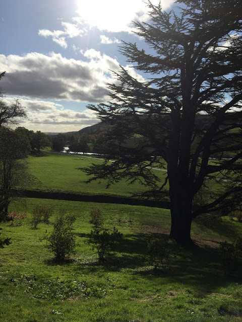 Wrapping Up England: the Derbyshire countryside green countryside, with a river in the distance