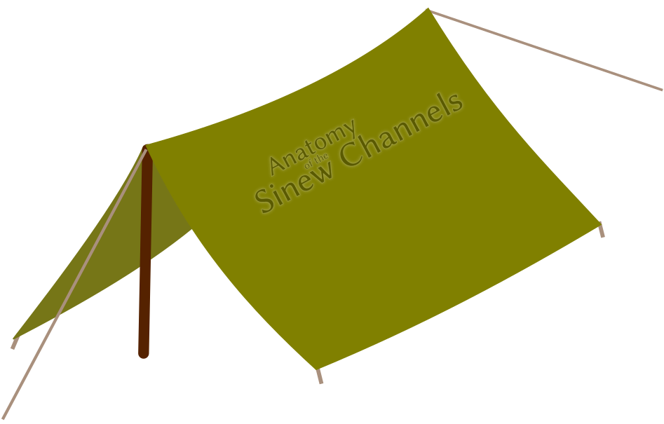 Anatomy Of The Sinew Channels 2018