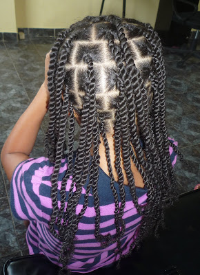 Perfectly Natural, Naturally Perfect: Natural Styling & Braid Services