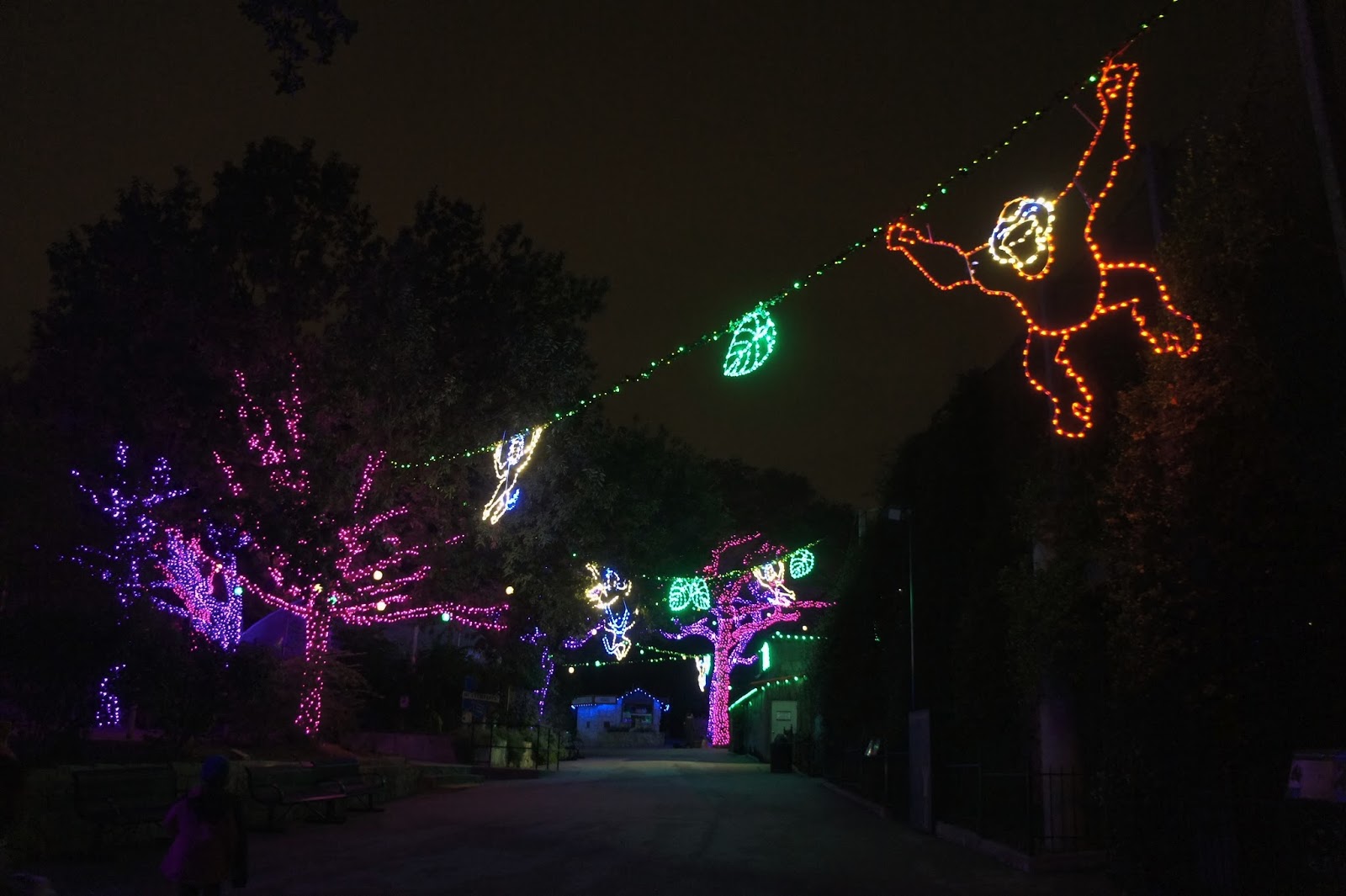 hewanunik2016 is zoo lights open on christmas Images