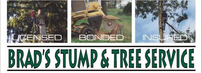 Brads Stump and Tree Service | Arlington, Washington