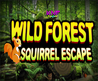 KNF Wild forest squirrel escape Walkthrough