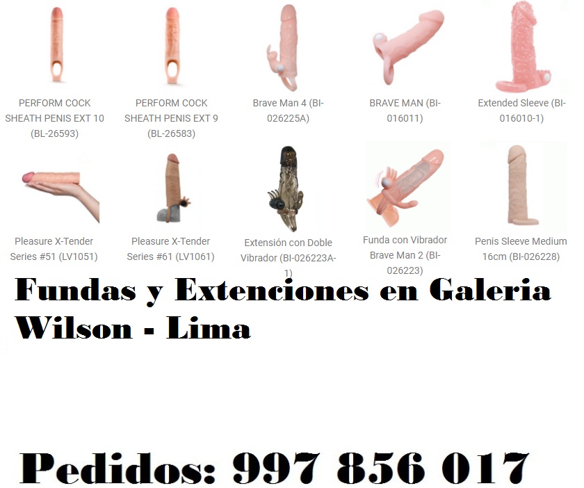 en Galeria Wilson - Lima