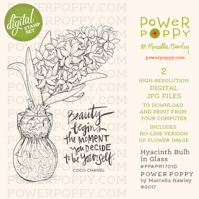 Power Poppy, Marcella Hawley, Hyacinth Bulb in Glass, Remixed Digital Image, April 2017