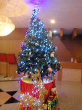 Her en en samling juletrær som jeg har tatt bilde av...