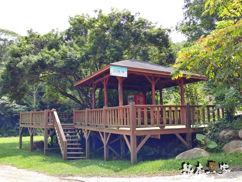 媲美清境青青草原|苗栗飛牛牧場|乳牛綿羊生態區~擠牛奶餵小羊小牛體驗