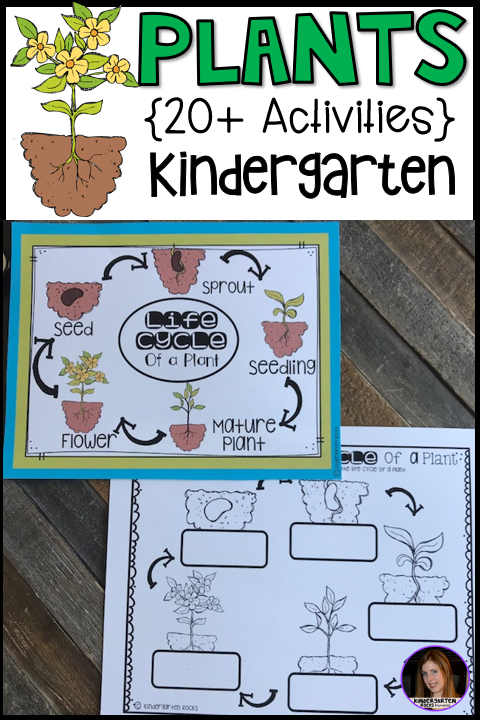 Plant Activities, Writing Crafts, Science Lessons and Centers for
