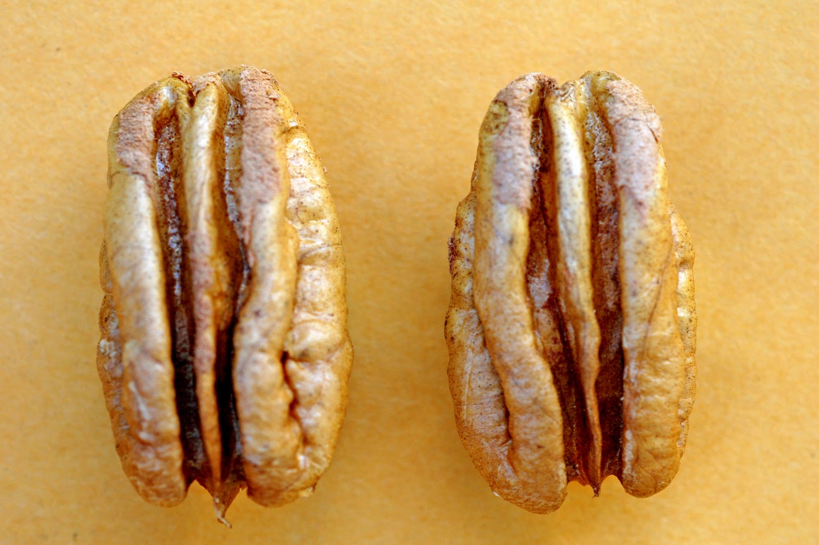 Northern Pecans Fuzzy pecan kernels