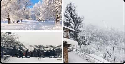 Winter Season: Food, Diet, Health Care, Body Protection Season, Winter, Food, Diet, health, Care, Body, Protection, Wear
