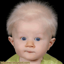 Gambar Dp BBM Bayi Unyu unyu Ngegemesin Lucu Banget Gambar Dp BBM Bayi Unyu unyu Ngegemesin Lucu Banget