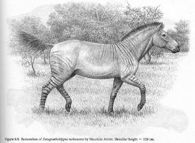 caballos prehistoricos Eurygnathohippus