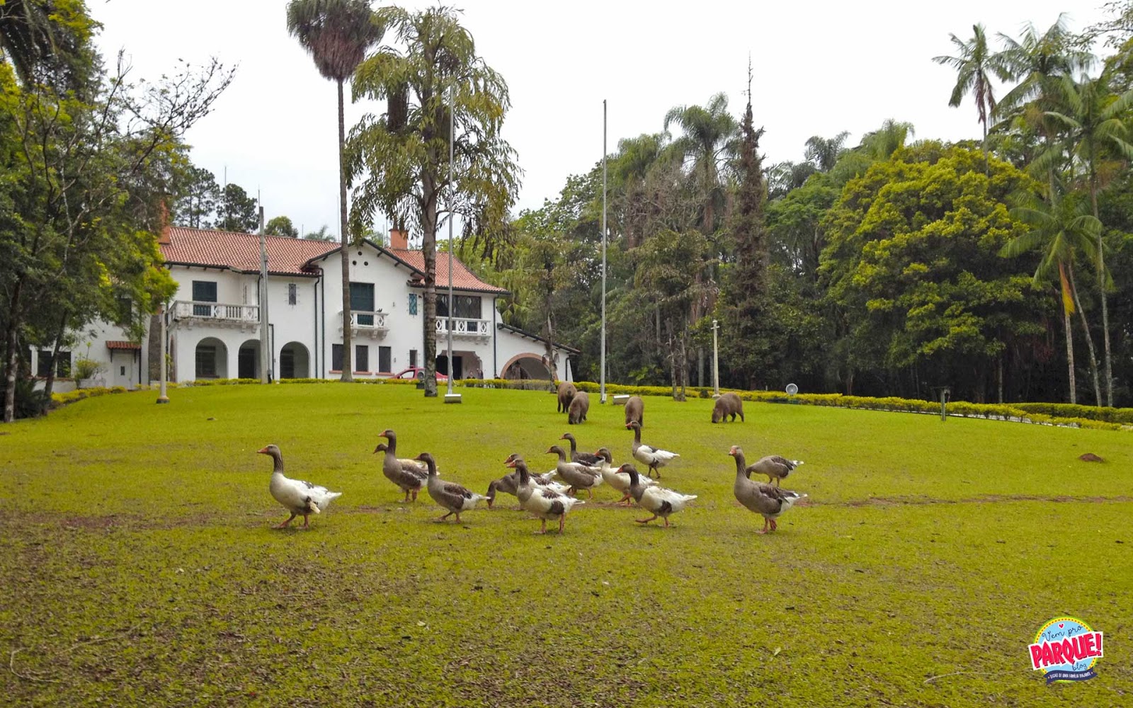 Horto Florestal de São Paulo