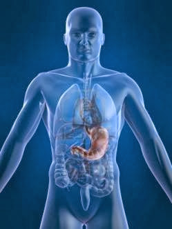 el arbol de la vida: LOS ÓRGANOS DEL CUERPO Y SU RELACIÓN CON LAS EMOCIONES