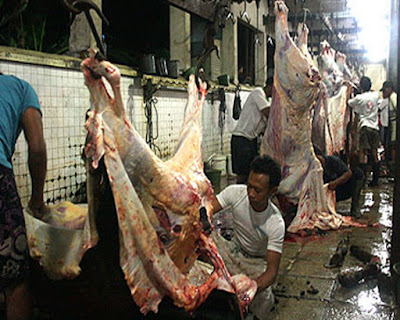 Fasilitas RPH Tawiri Belum Rampung 1 potong%2Bhewan