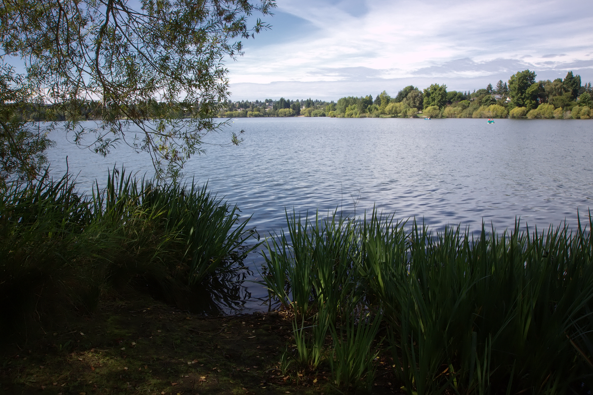 Loving Washington State Green Lake, Seattle, WA
