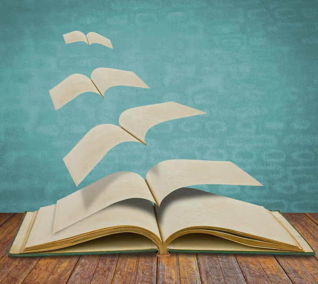 Resultado de imagen de certamen lengua y literatura