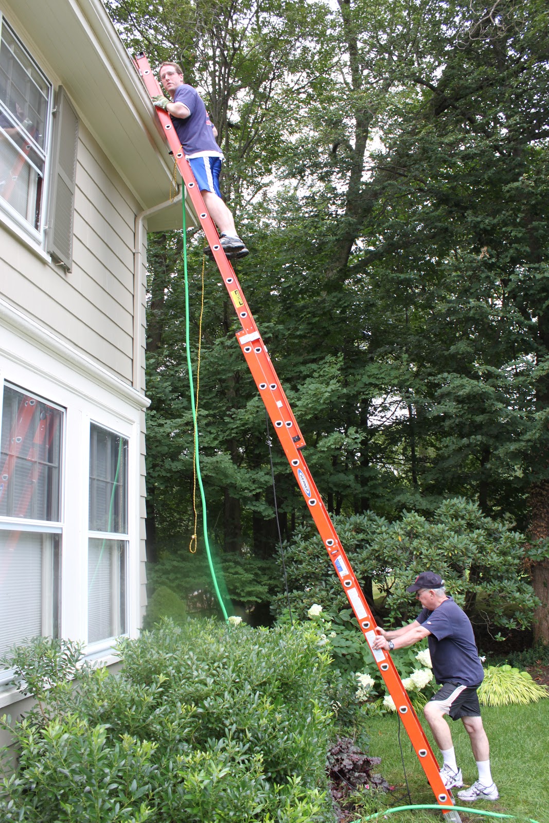Boston Chomper Chutes and Ladders