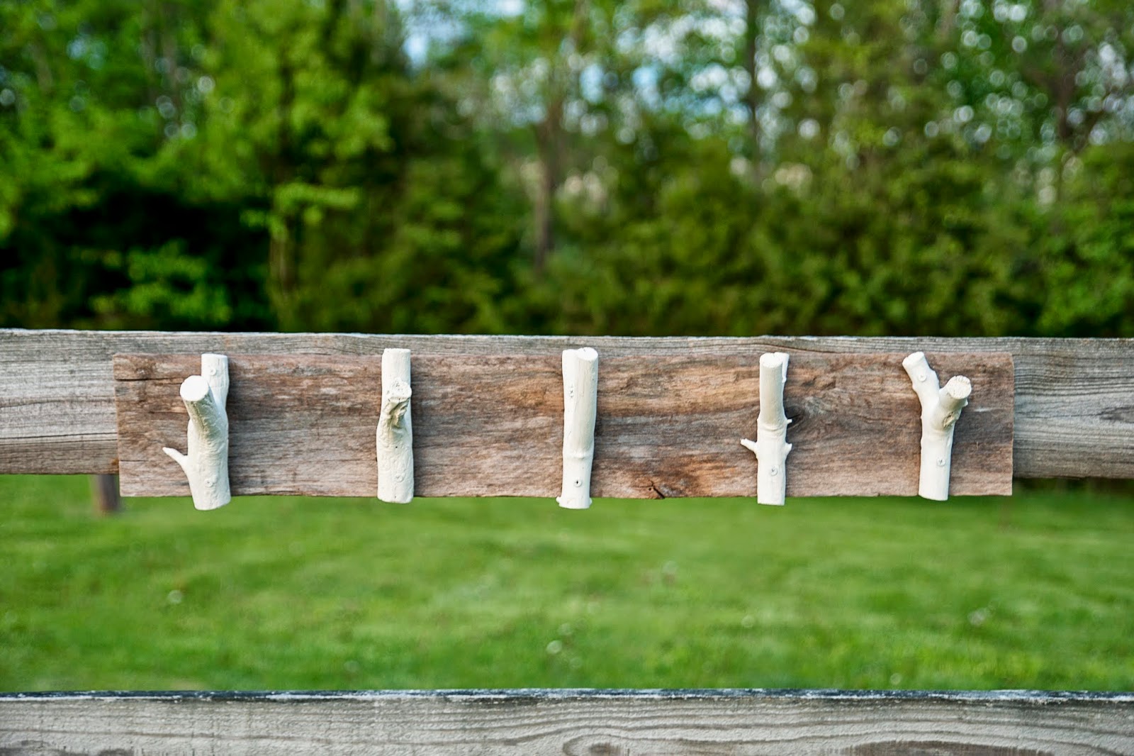 Alaine & Lee Tree Branch Coat Hanger