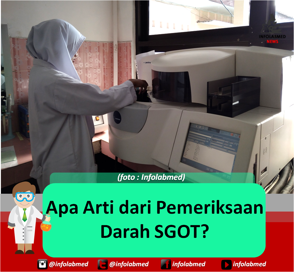 Arti Dari Dating Adalah : Pengertian dan Arti Paradigma Secara Lengkap