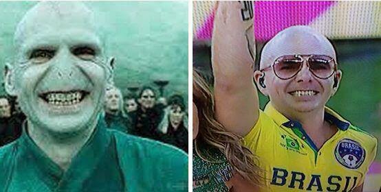 Separados al nacer : Pitbull vs Lord Voldemort