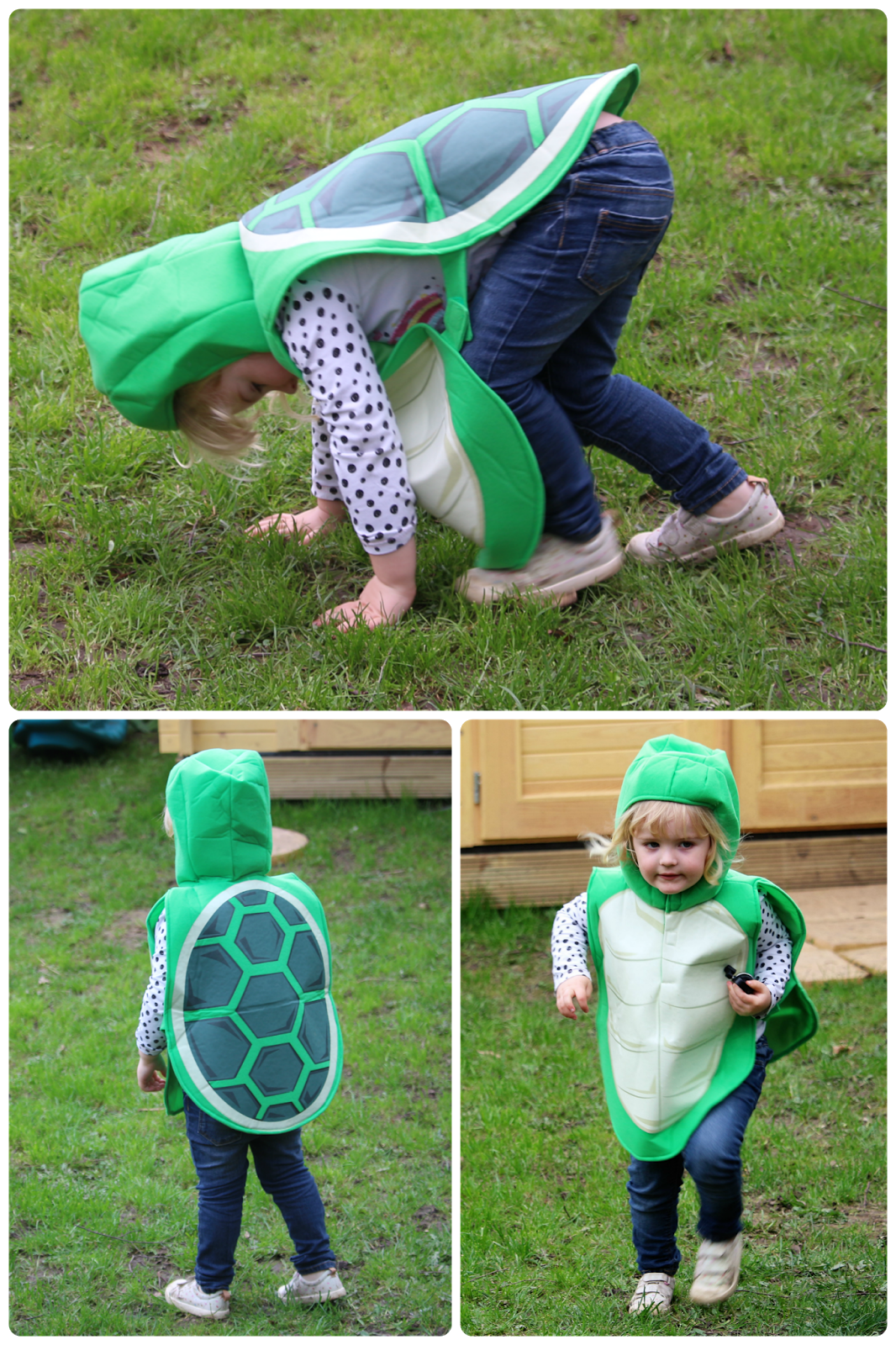 Tortoise costume from Pretend to Bee Review. Easy World Book Day idea!