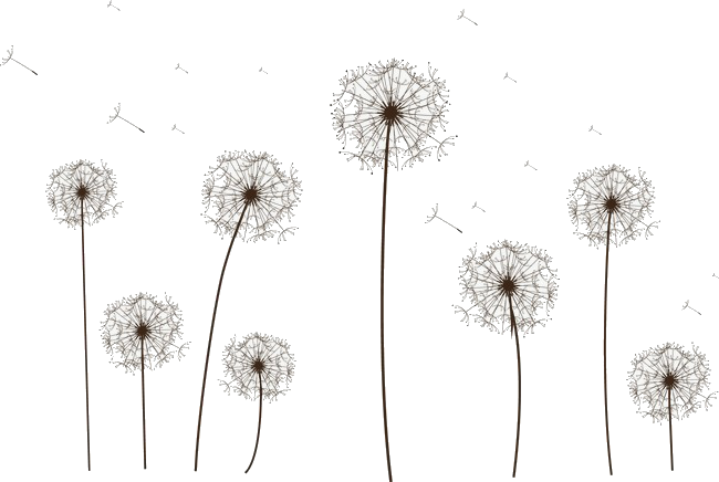 Blogheavenlyheavenly La Serie De El Rey David Capitulo 1 La Serie Completa