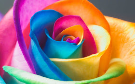 gousicteco: Neon Rainbow Roses Wallpaper Images
