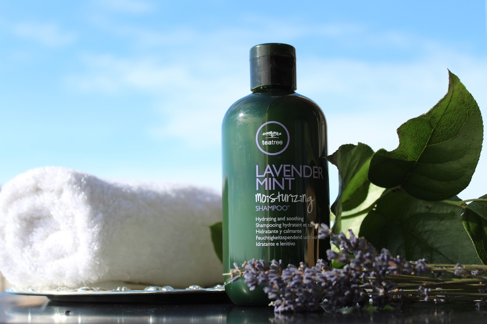 Beauty Unearthly Paul Mitchell Lavender Mint