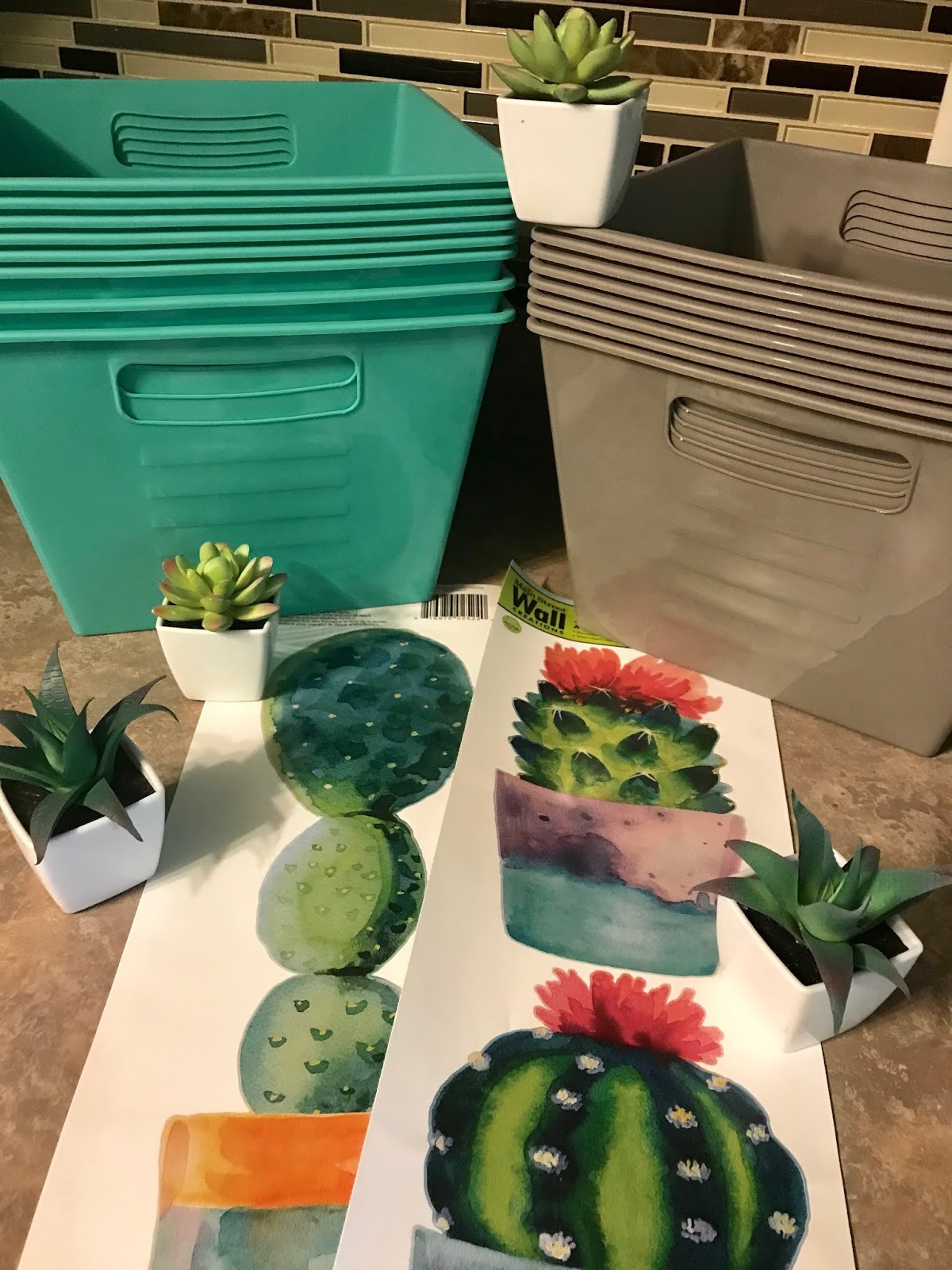 the okie teacher: Cactus Classroom Preview!