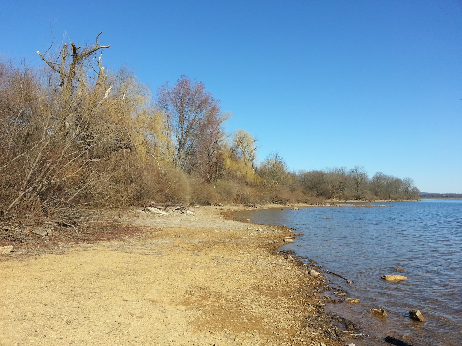 blue in green Spruce Run Lake New Jersey Fall 2013