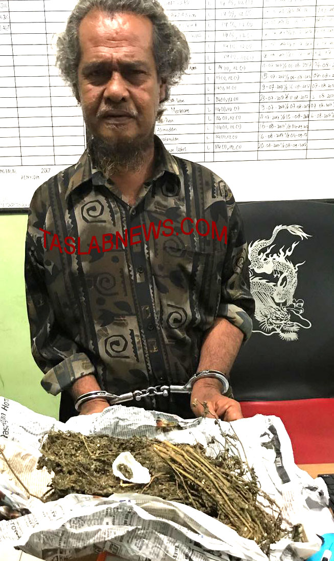 Rudi Hasibuan penjahit sepatu yang nyambi menjadi penjual ganja. Rudi Hasibuan penjahit sepatu yang nyambi menjadi penjual ganja.
