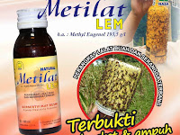 Metilat Plus - Pengendali Lalat Buah dan Serangga Terbang Paling Ampuh Saat Ini Metilat Plus - Pengendali Lalat Buah dan Serangga Terbang Paling Ampuh Saat Ini