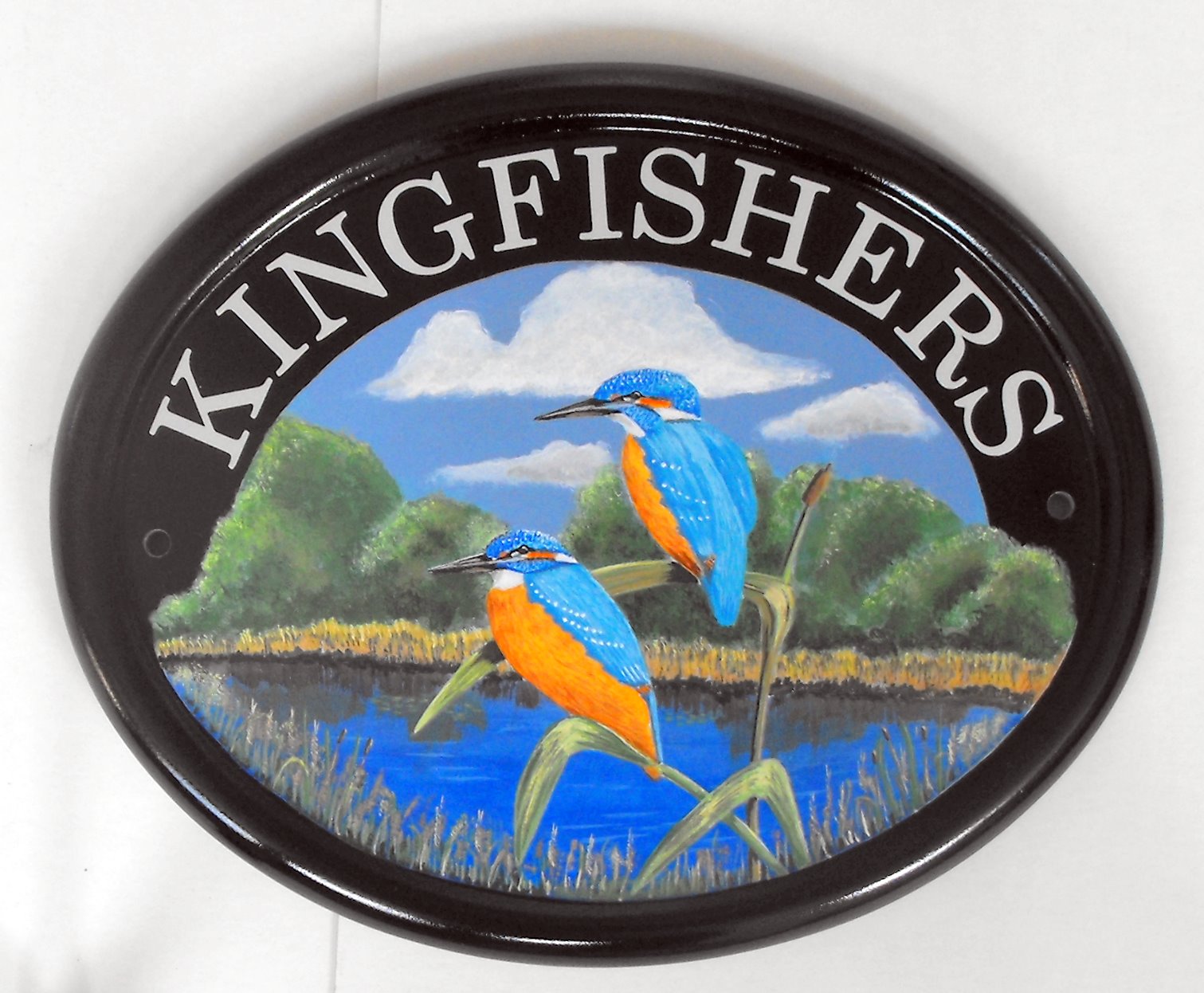 Pictorial House Signs from Yoursigns Ltd Two Kingfishers Sign