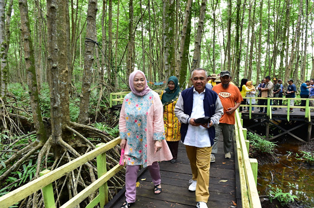 Magrove forest in indragiri Hilir riau governor and wife visited magrove forest in Sungai Asam village, indragiri hilir regency, riau have many mangrove forest and many of them become tourism attraction for the citizen in Riau.