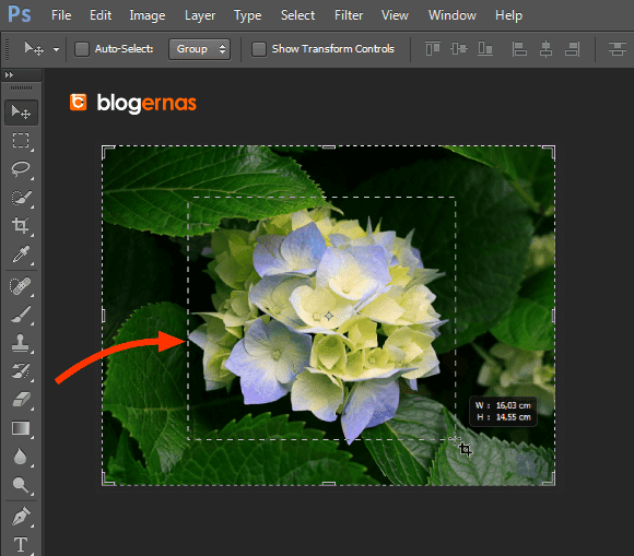 Cara Cropping Cepat Foto dengan Adobe Photoshop