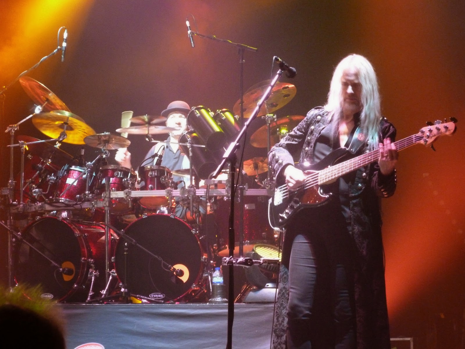 Macwood Fleet: Live in 2014: Steve Hackett - at St David's Hall ...