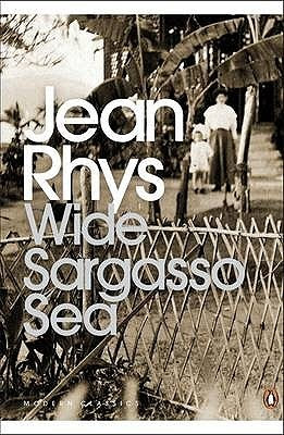 jean rhys novel jean rhys novel
