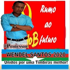 # PROFESSOR WENDEL SANTOS
