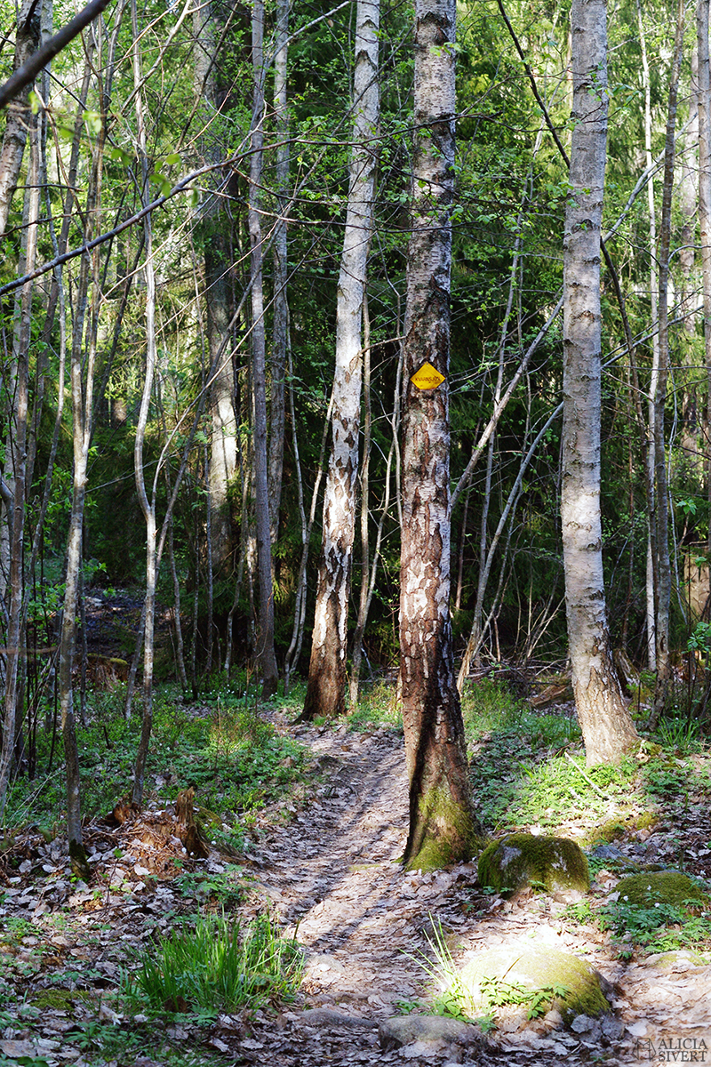 11 saker jag alltid tar med mig ut i skogen - lista av Alicia Sivertsson, scout i 20 år. skog skogen utflykt promenad hajk gå ut i naturen natur scout scouting dagsutflykt utflykt utan övernattning packa packning verktyg redskap vad ska man ha med sig förberedelse förbereda sig ryggsäck vandra vandring scouting