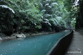 gua mimpi bantimurung maros
