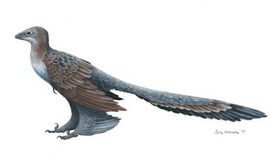 Changyuraptor