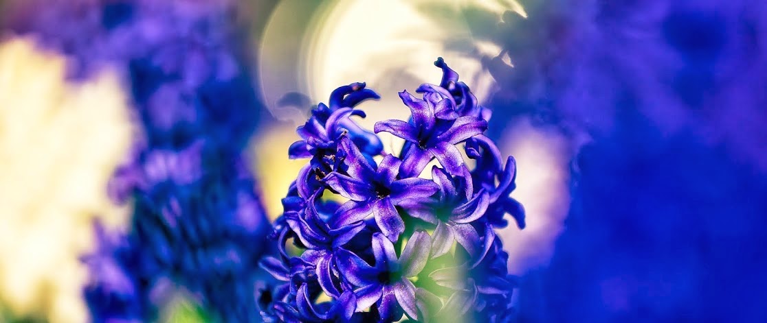 Gedichte Unter Der Laterne Marz 2014