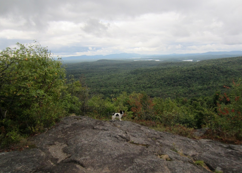 Windswept Adventure Chapter 2 Discovering Floodwood Mountain