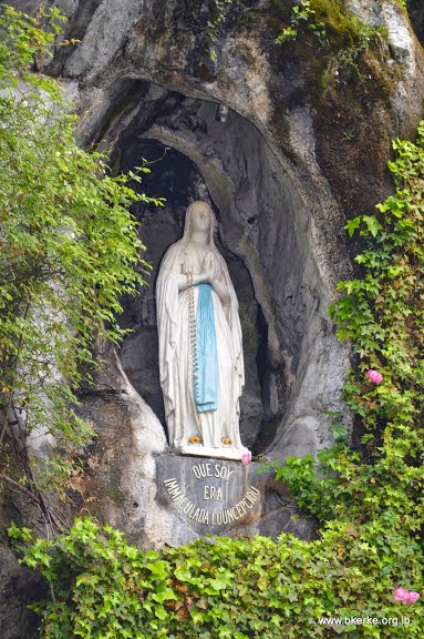 Maronite Blogger: Maronite Patriarch Celebrates Mass in Lourdes