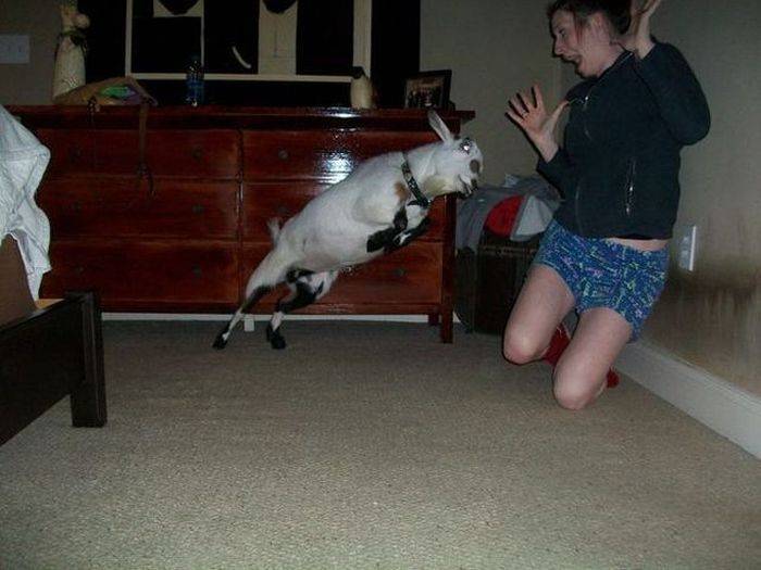 RIte_Mail_Picdump_Junly_005.jpg