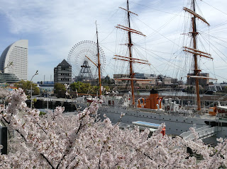 minato mirai hanami