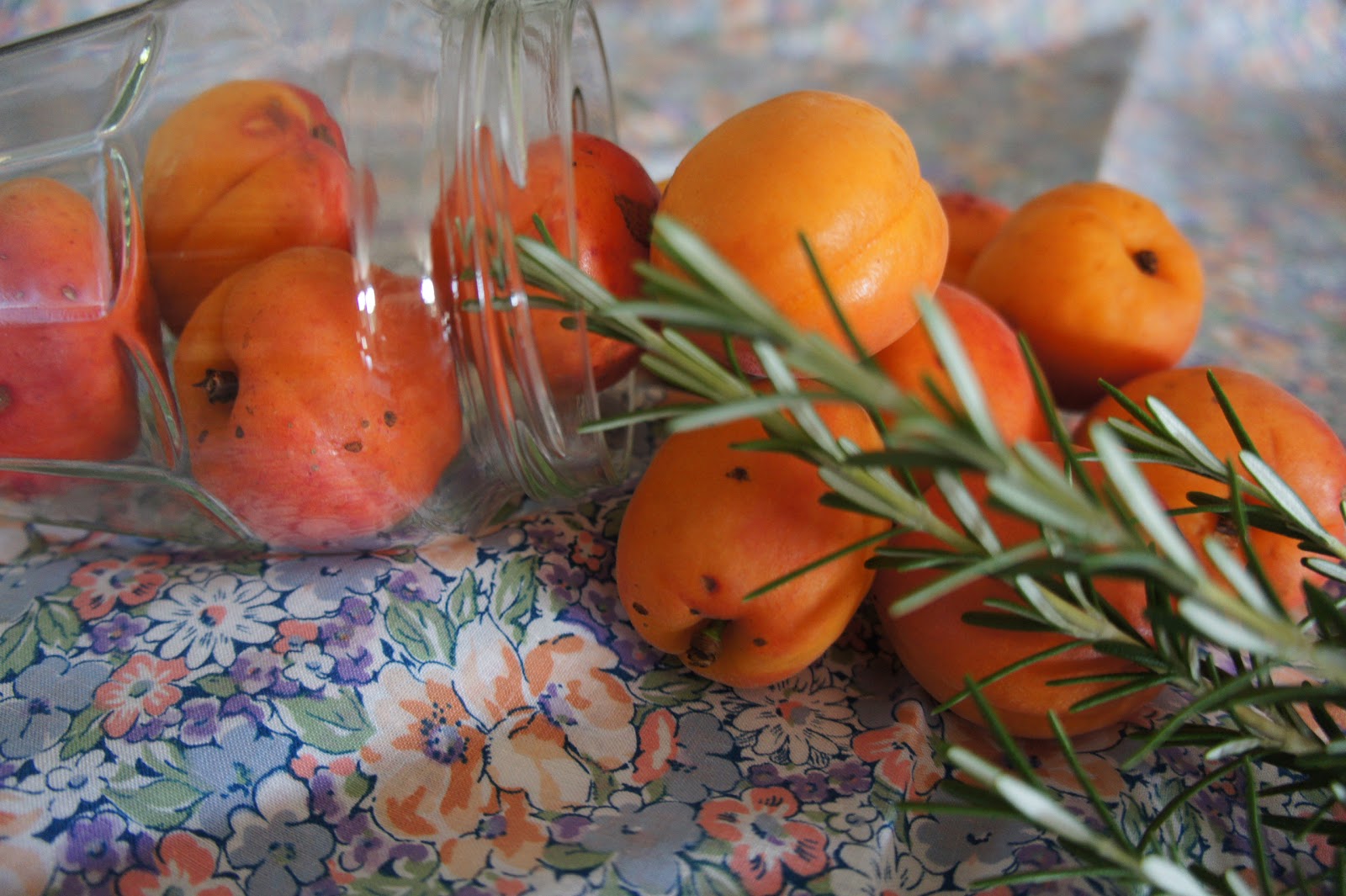 Confiture d'abricots au romarin